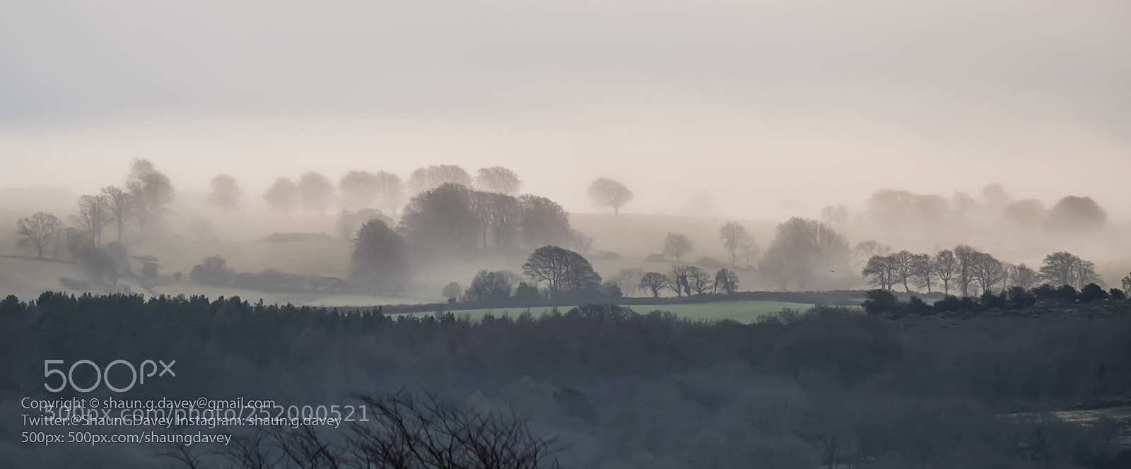 Fujifilm X-T2 sample photo. Distant misty trees, exmoor photography