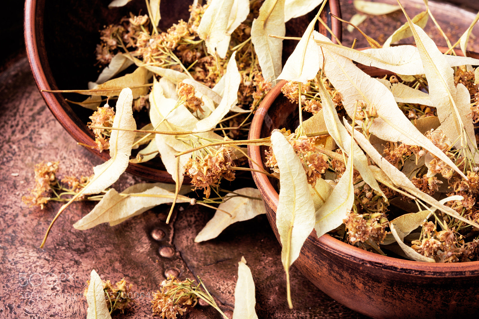 Nikon D7100 sample photo. Dry linden leaf photography