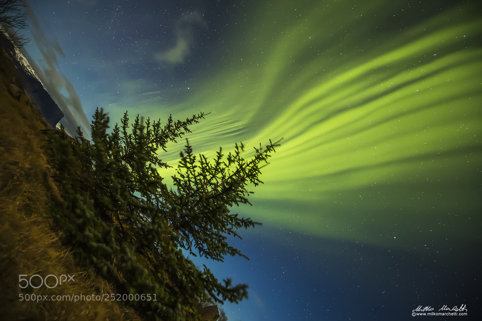 Canon EOS 5D Mark IV sample photo. A magic night photography