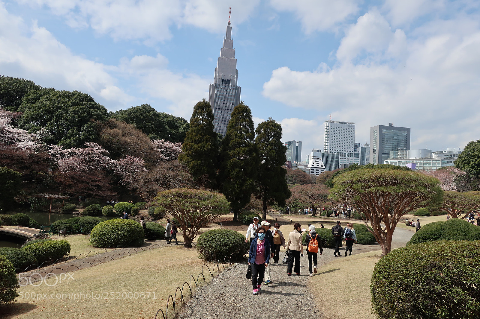 Canon PowerShot G9 X Mark II sample photo. •	shinjuku gyoen national garden photography