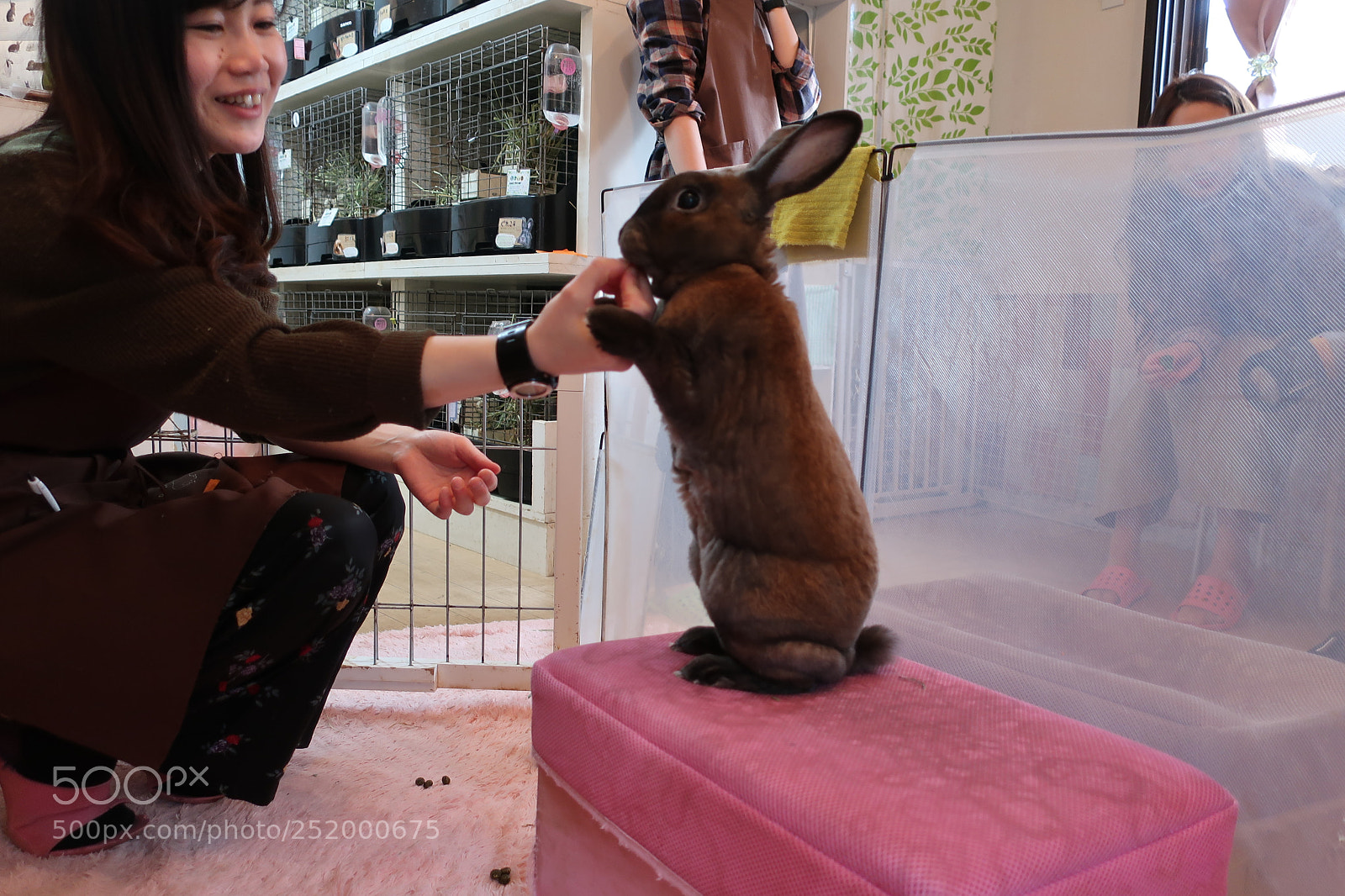 Canon PowerShot G9 X Mark II sample photo. Rabbit cafe harajuku photography