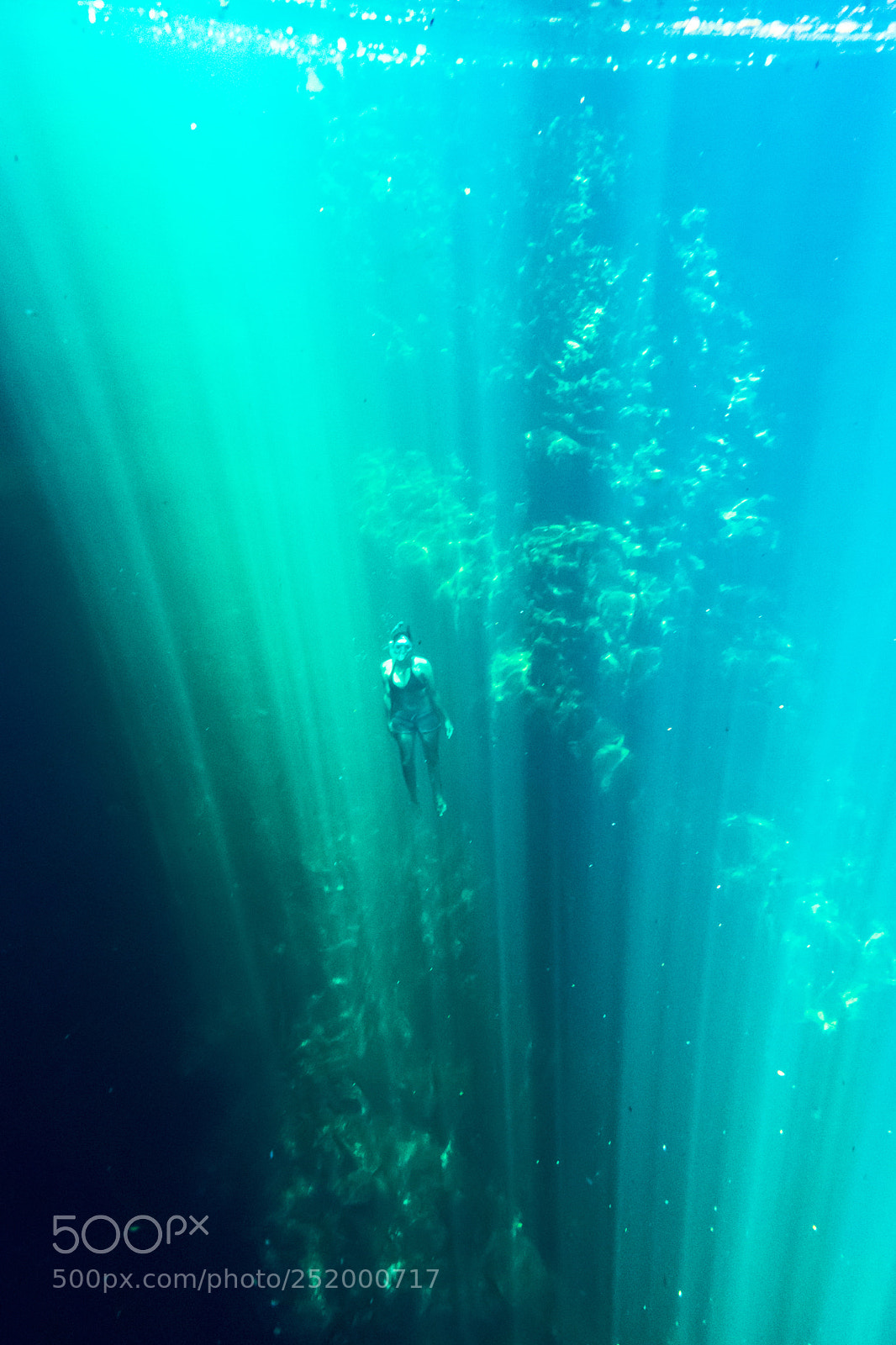 Olympus TG-4 sample photo. Diving in a nature photography