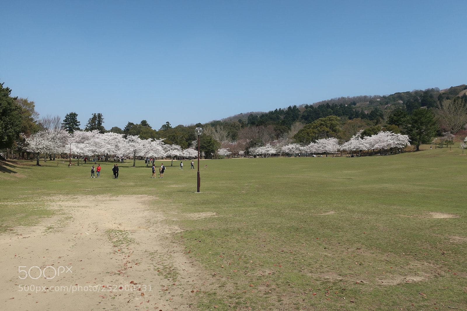 Canon PowerShot G9 X Mark II sample photo. Nara photography