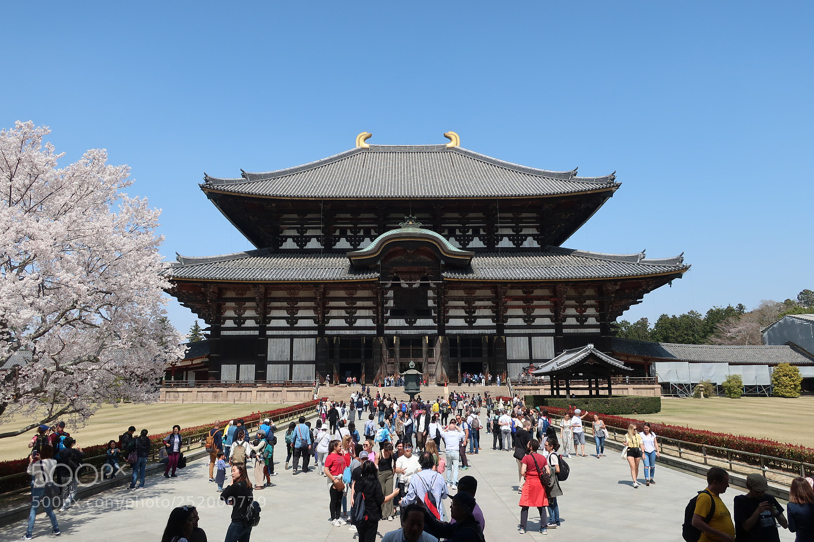 Canon PowerShot G9 X Mark II sample photo. Todai-ji photography