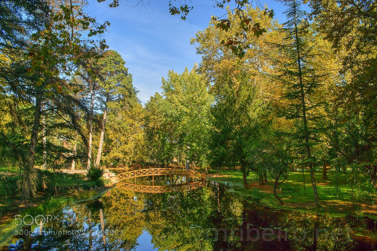 Sony Alpha DSLR-A350 sample photo. Parque das termas de photography