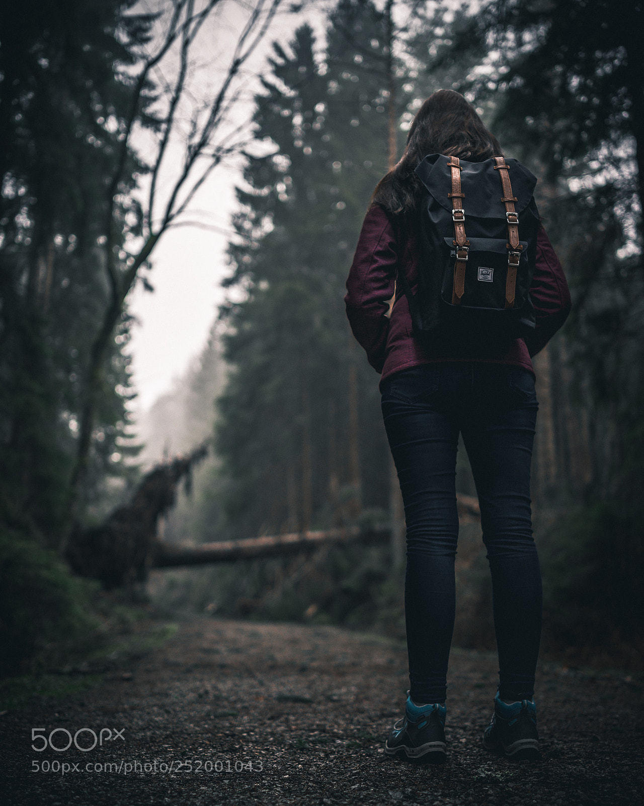 Sony a7 II sample photo. Exploring photography