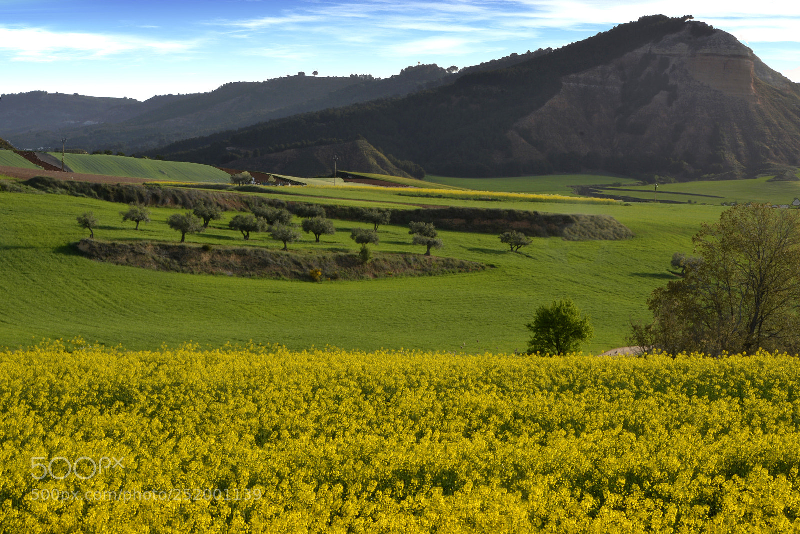 Nikon D5200 sample photo. Spring landscape photography