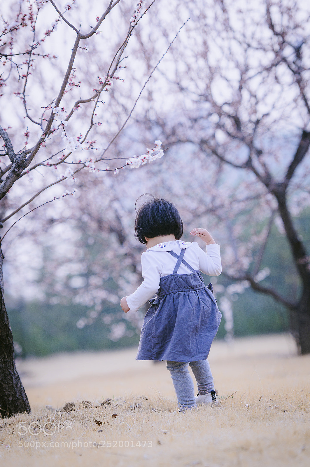 Nikon D300S sample photo. Untitled photography