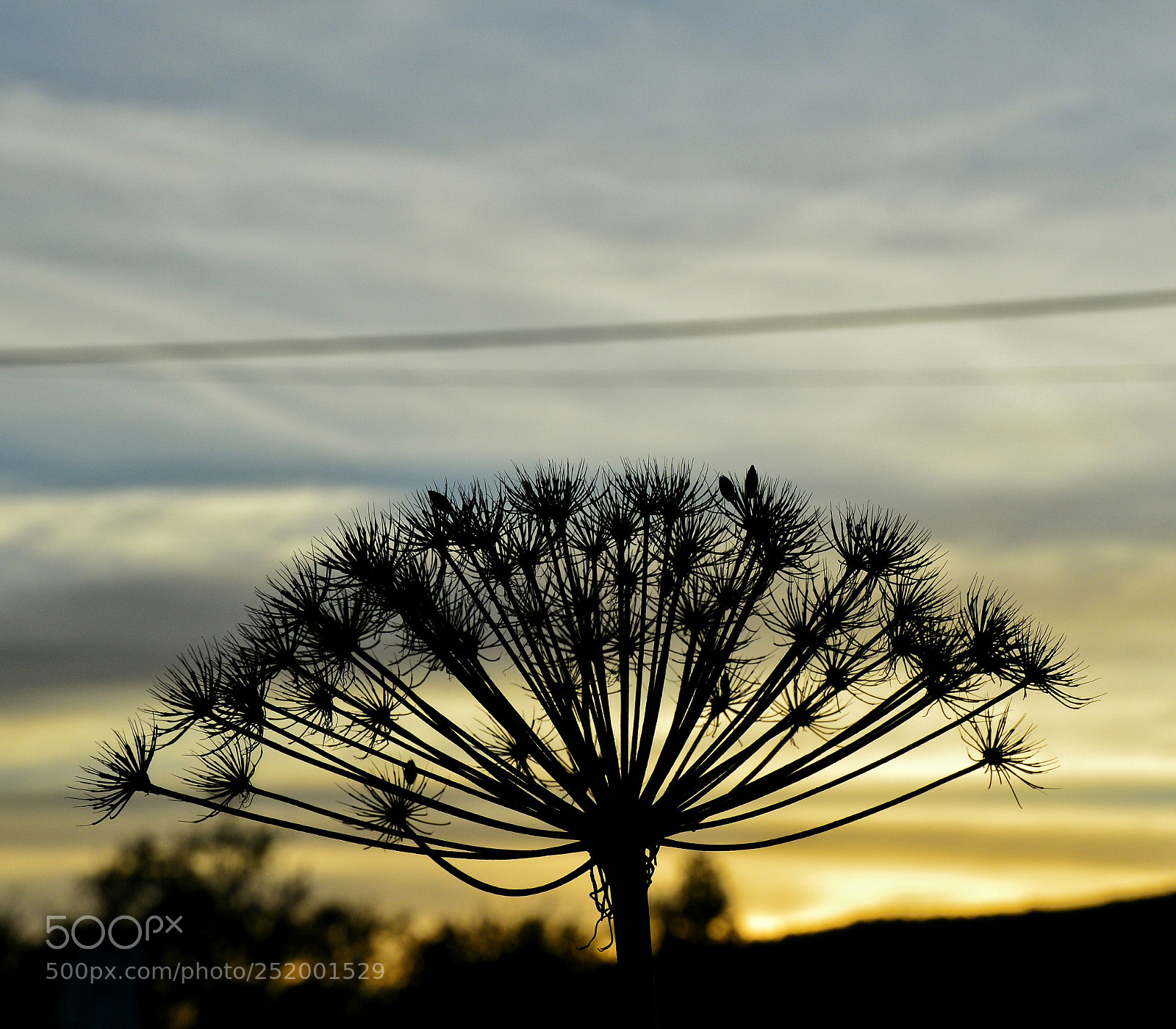 Nikon D3200 sample photo. Untitled photography