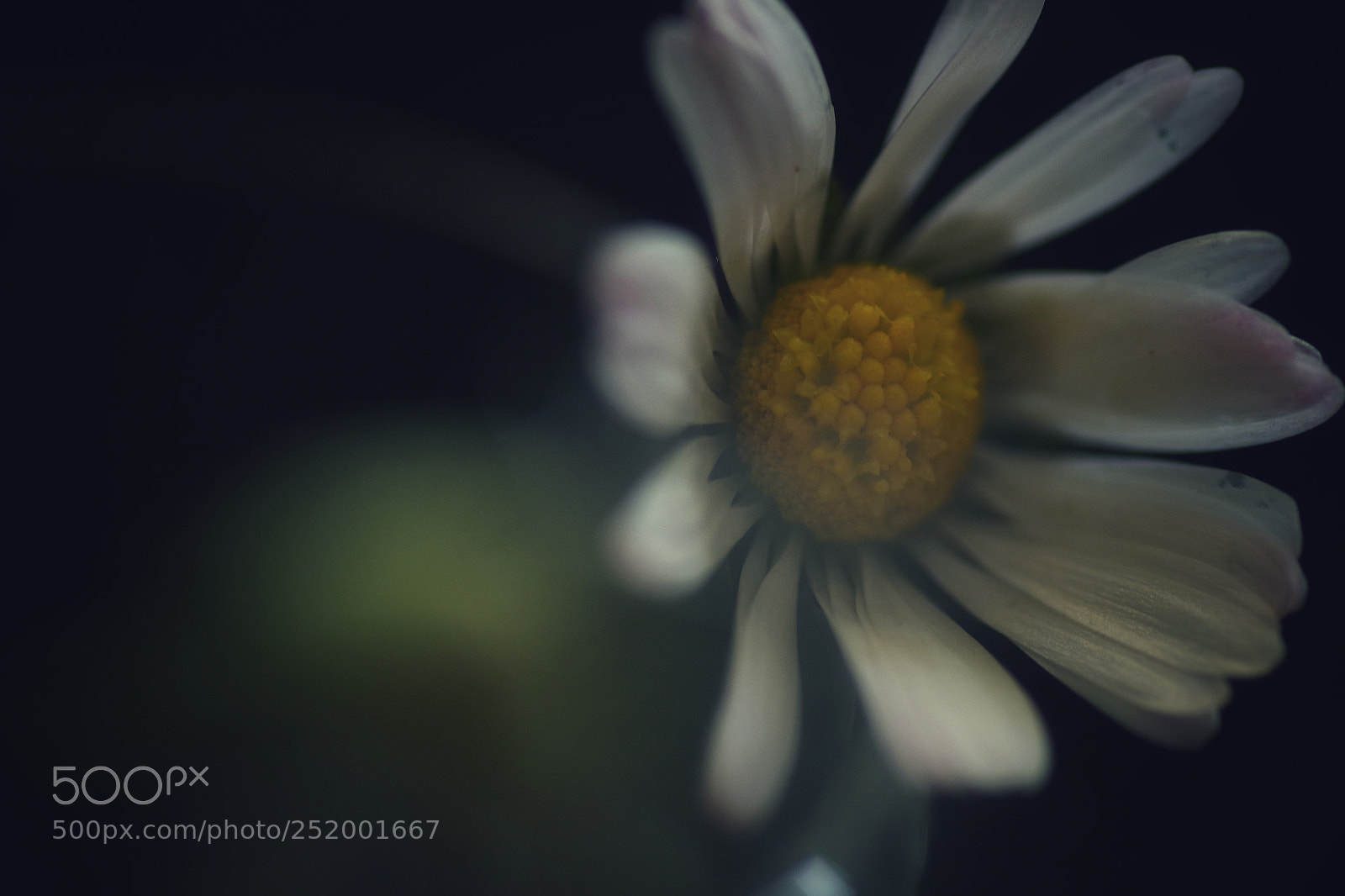 Pentax K-S2 sample photo. Pénombre photography