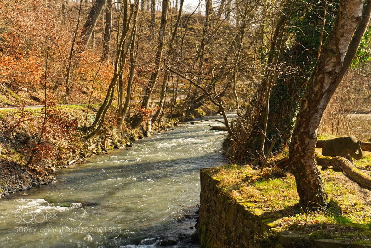 Sony a7 II sample photo. 28 /365  photography