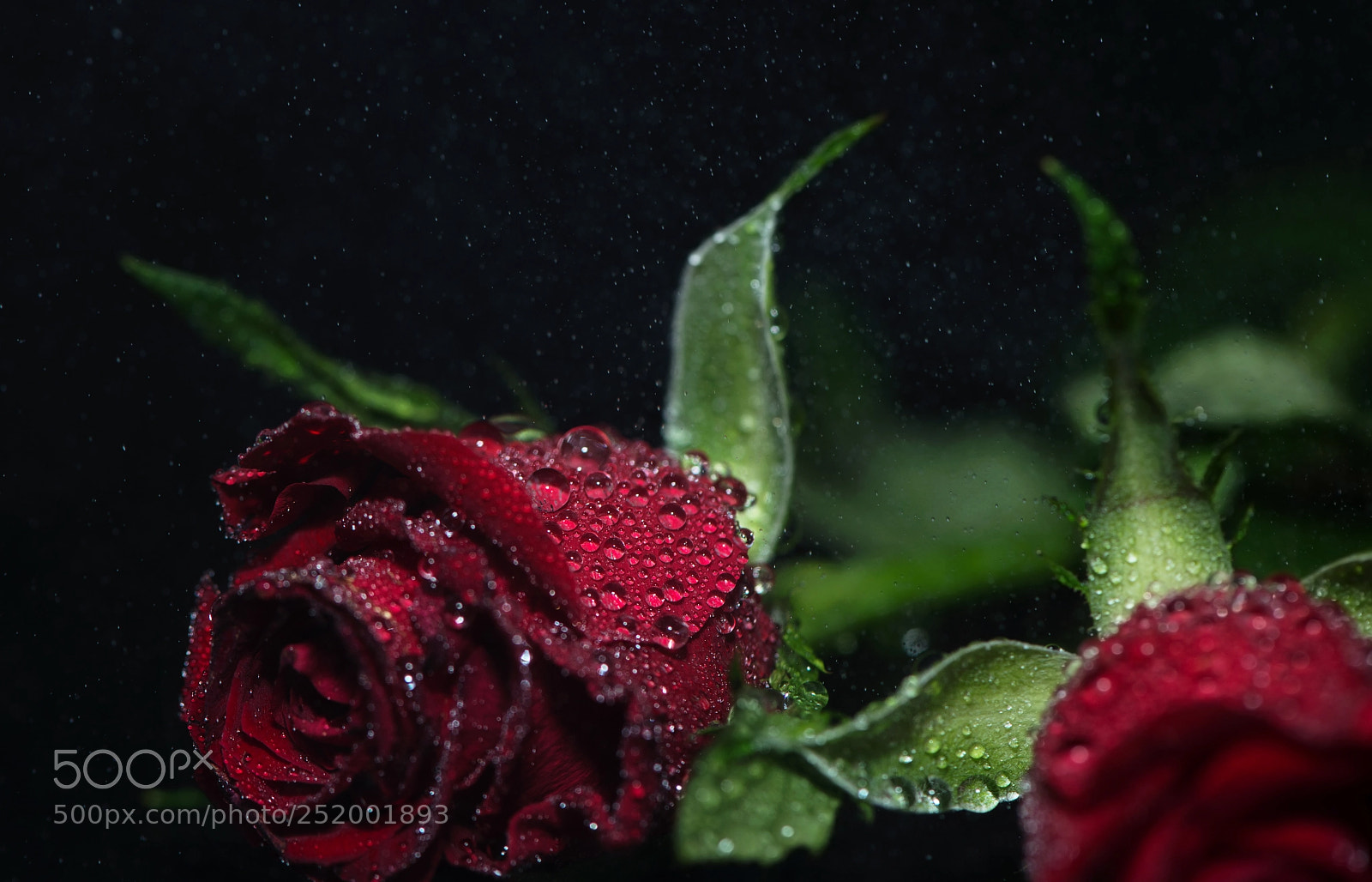 Nikon D800 sample photo. Teared apart photography