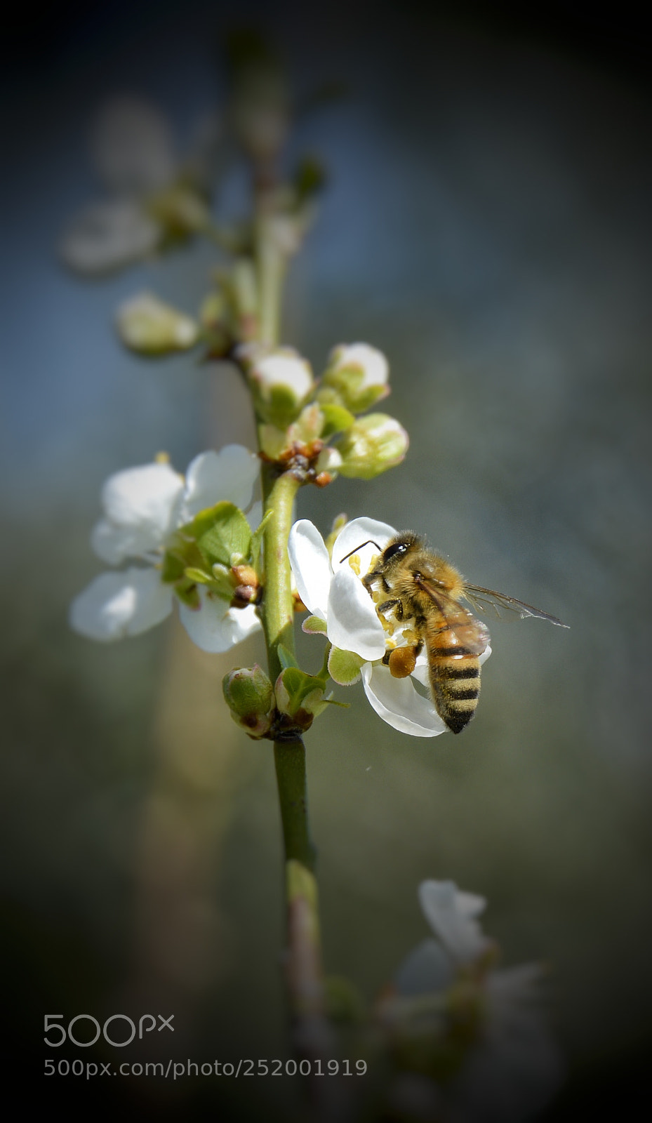 Nikon D3200 sample photo. Untitled photography