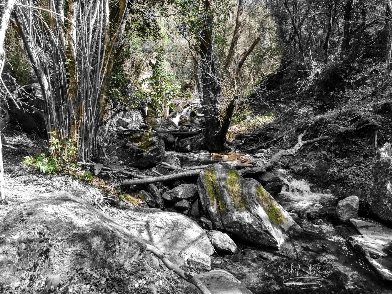HUAWEI Honor 8 sample photo. Dans les albères photography