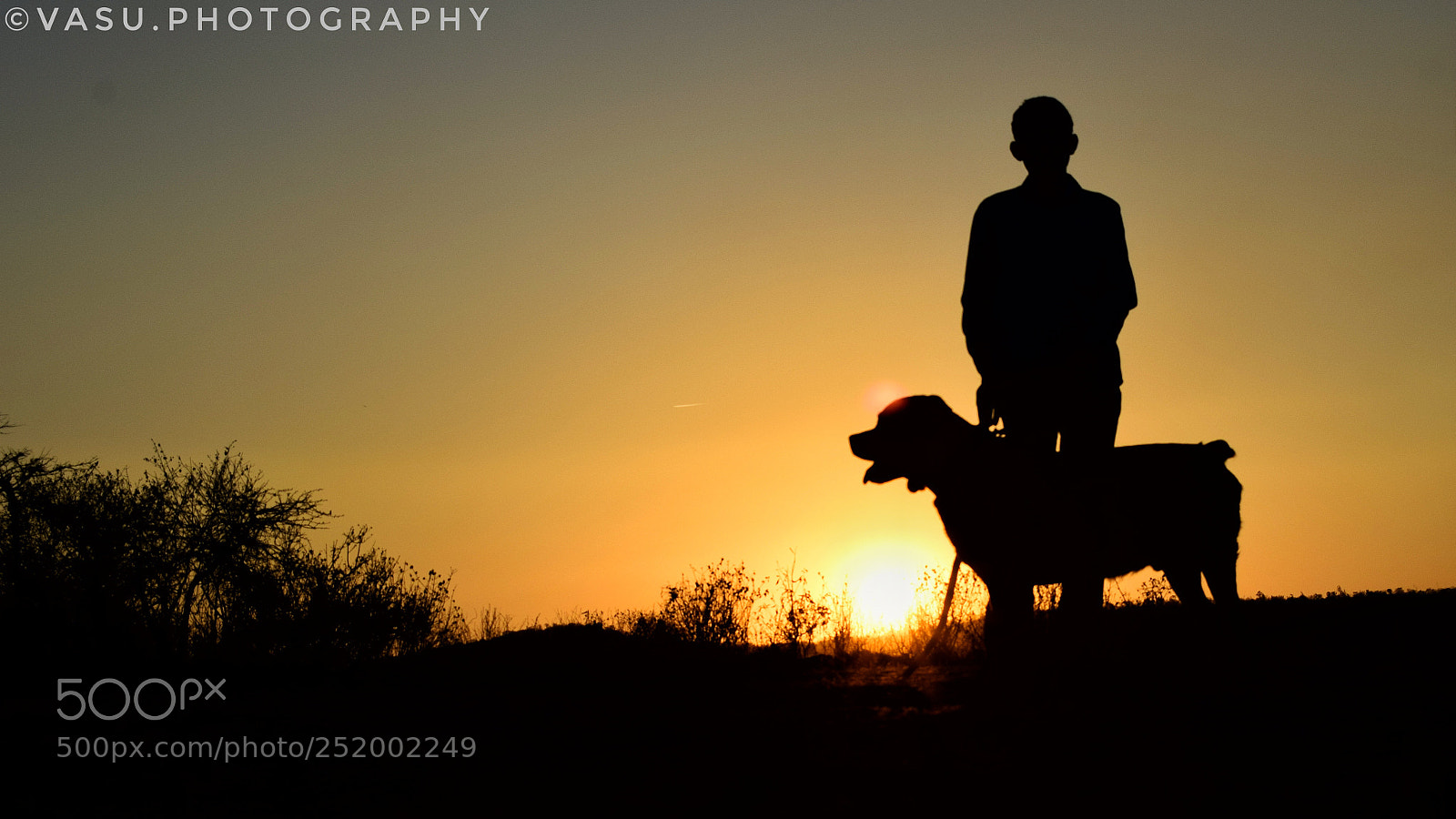 Nikon D3300 sample photo. The man with the photography