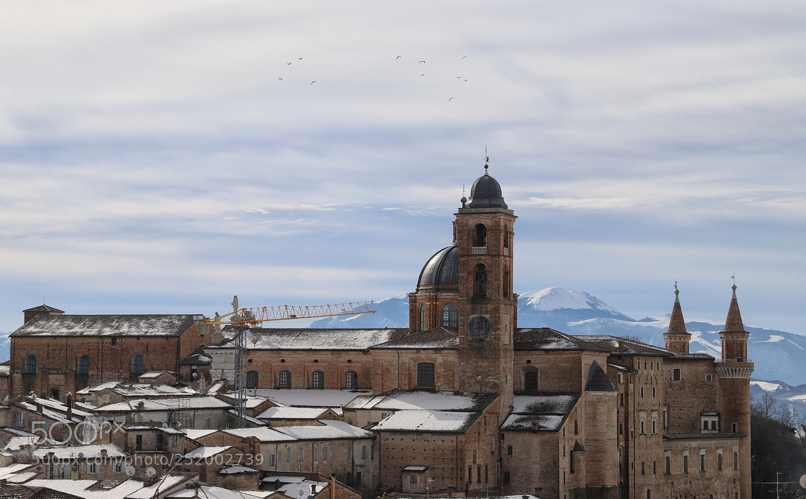 Canon EOS 6D Mark II sample photo. Seagull over urbino photography