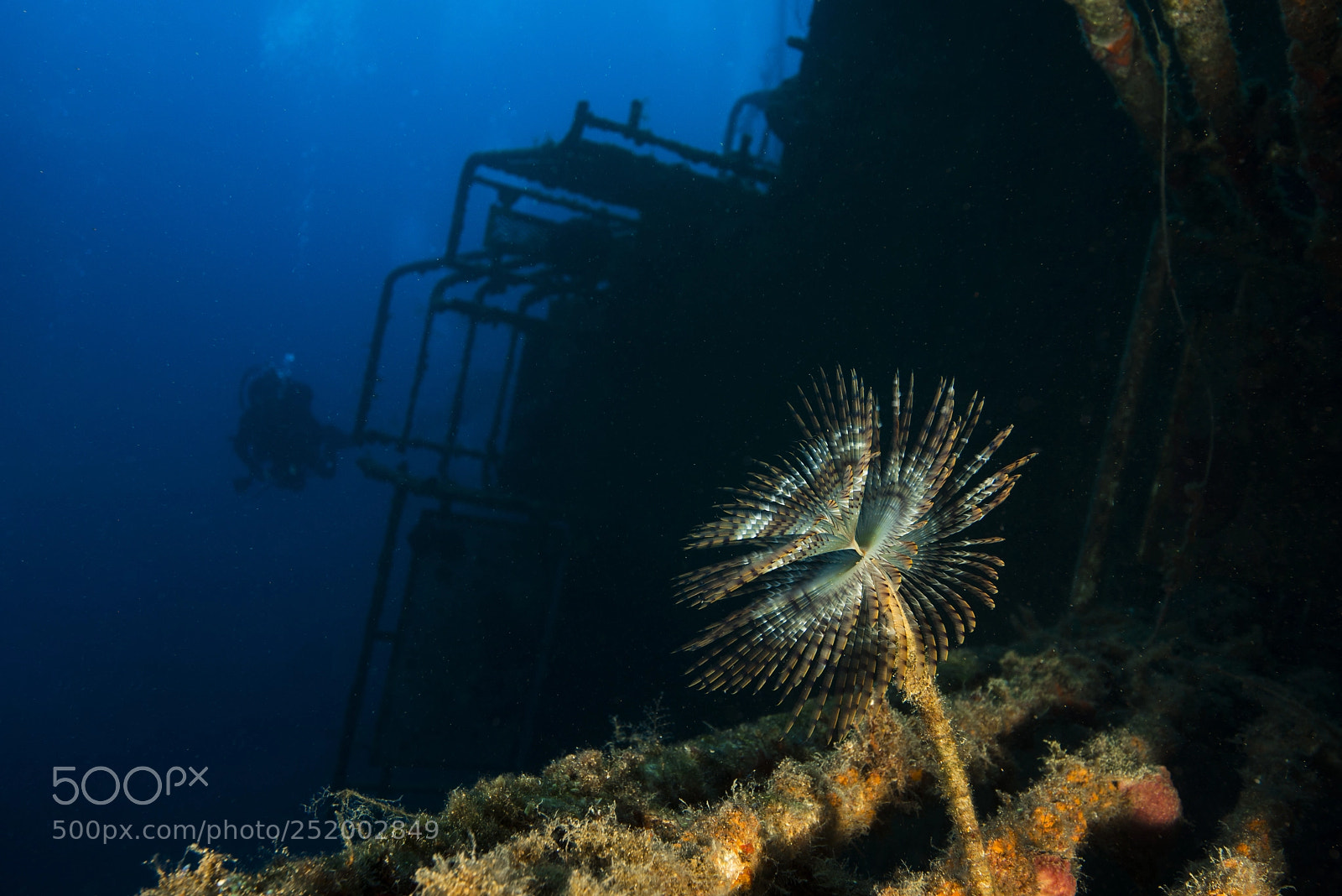 Nikon D800E sample photo. Paradise wreck photography