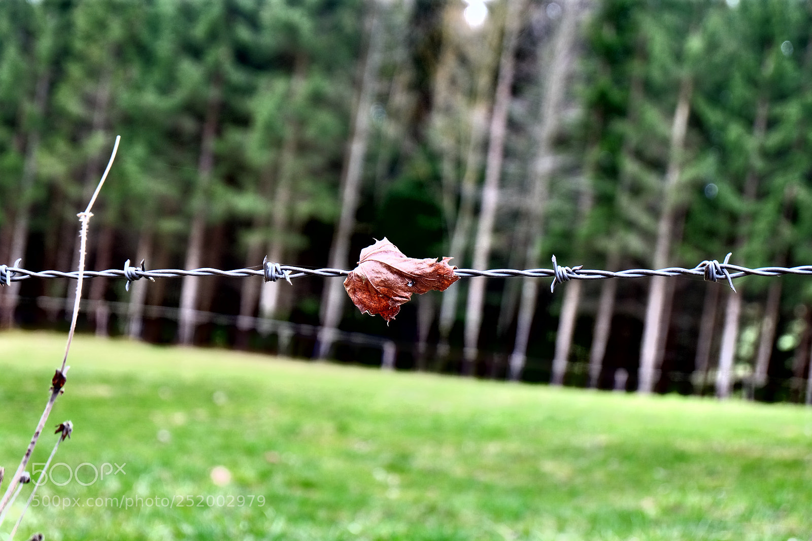 Fujifilm X-M1 sample photo. Silent photography