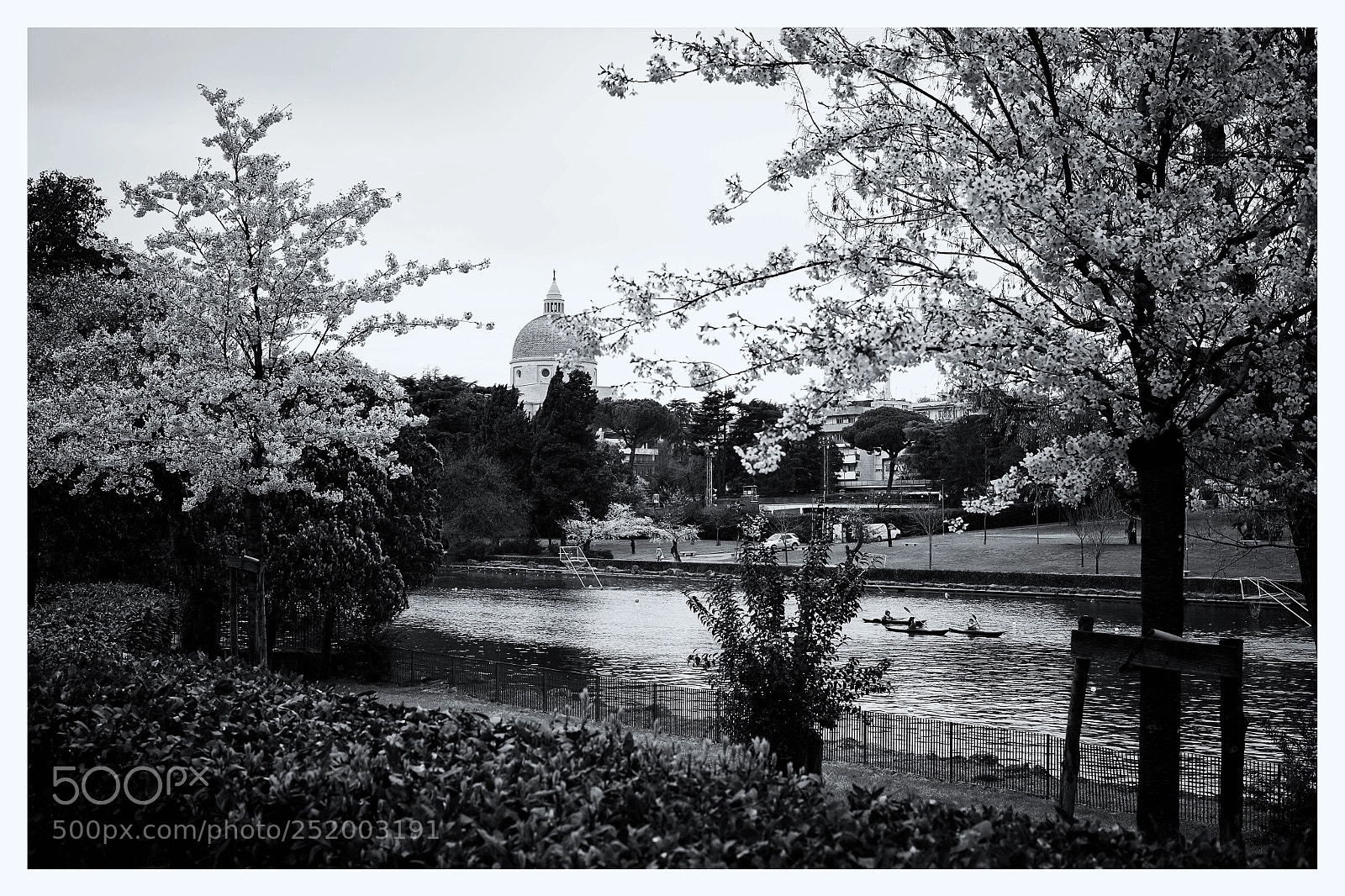 Fujifilm X-T1 sample photo. Hanami photography