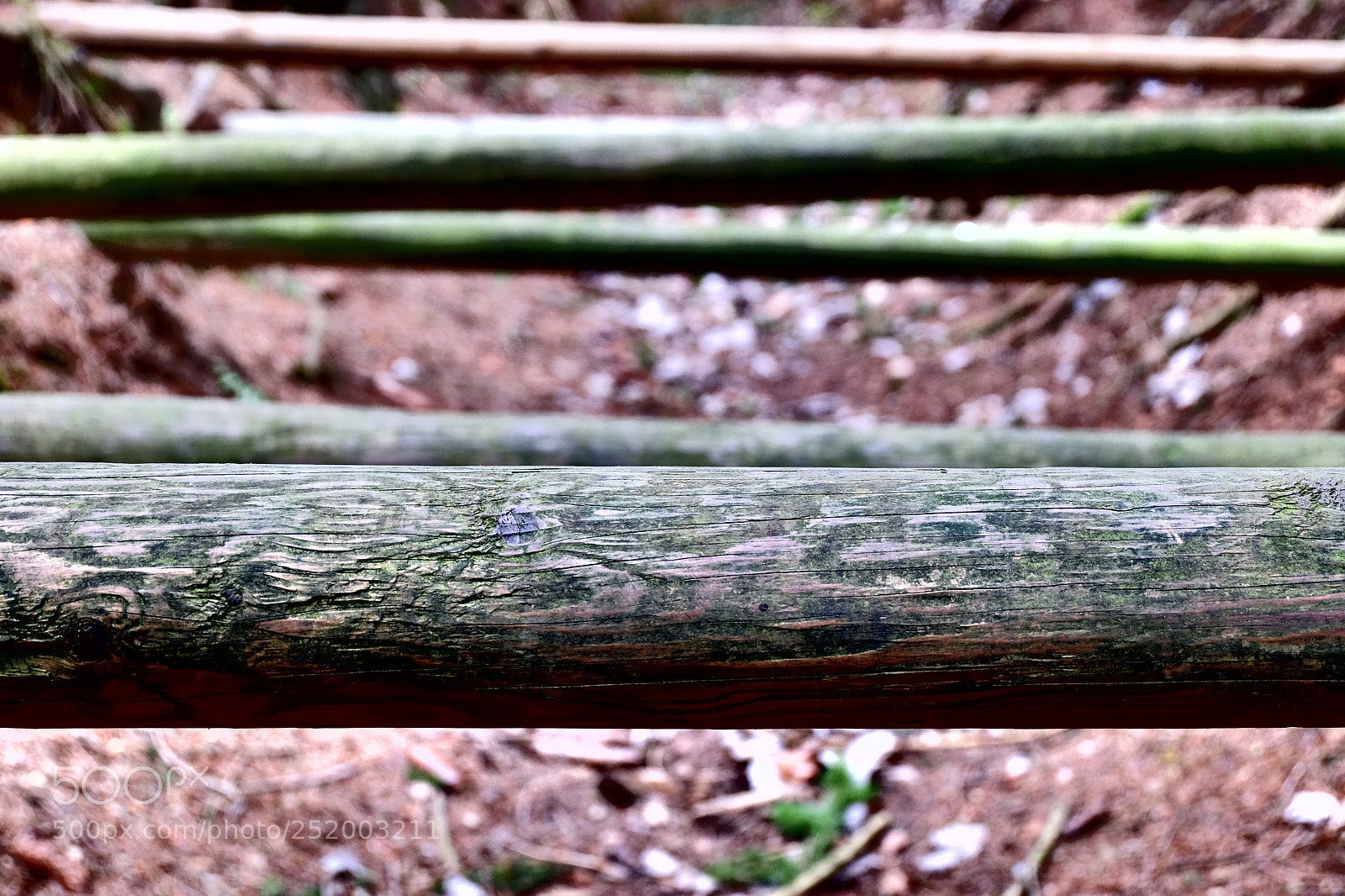 Fujifilm X-M1 sample photo. Sticks photography