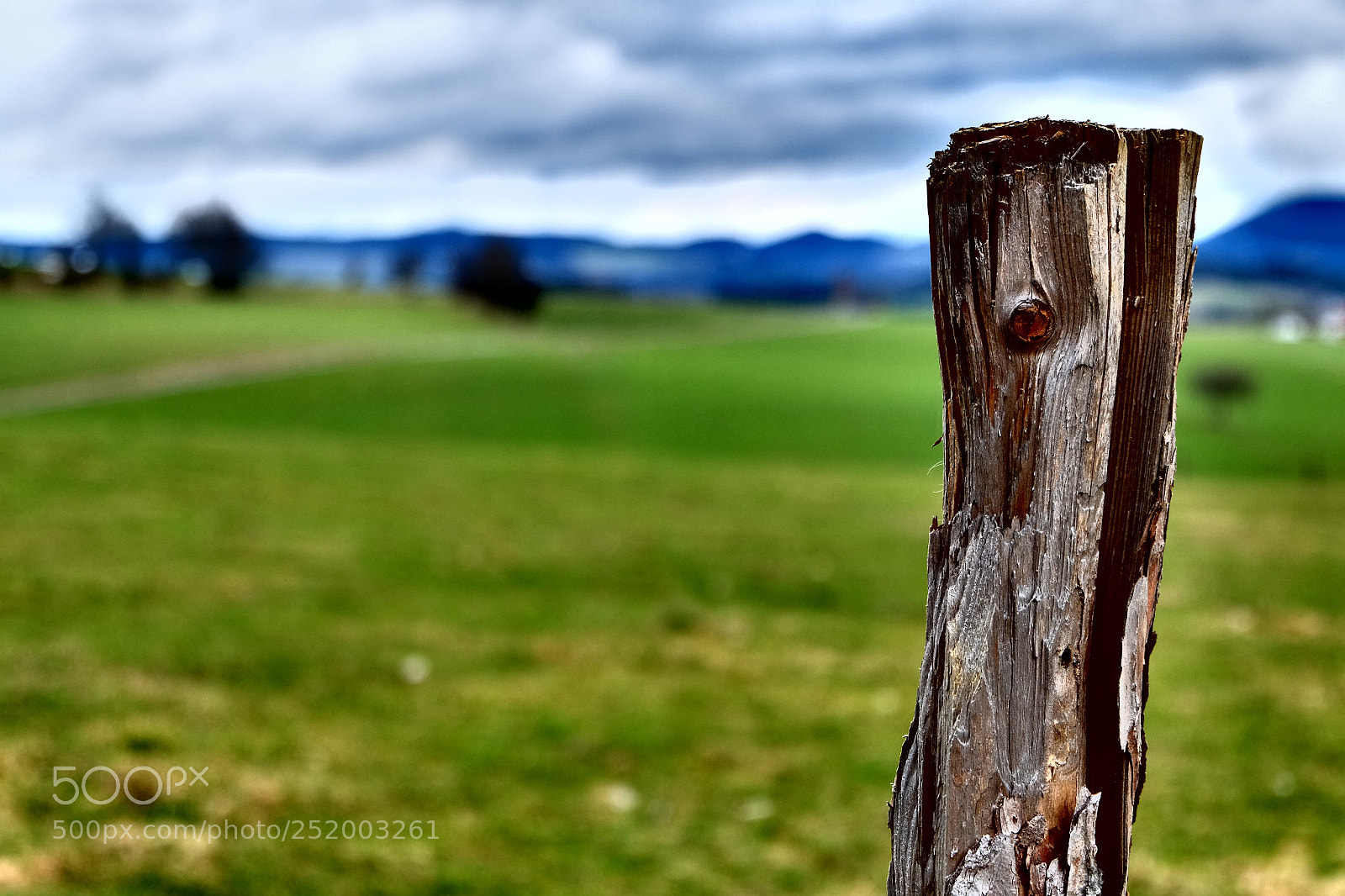 Fujifilm X-M1 sample photo. Alone in nature photography