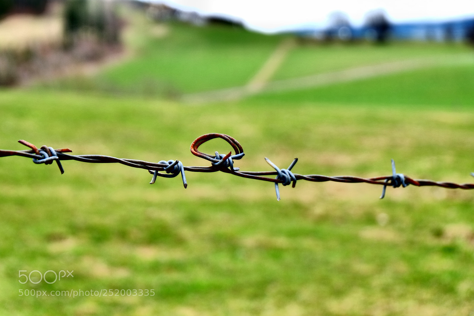 Fujifilm X-M1 sample photo. Anders photography