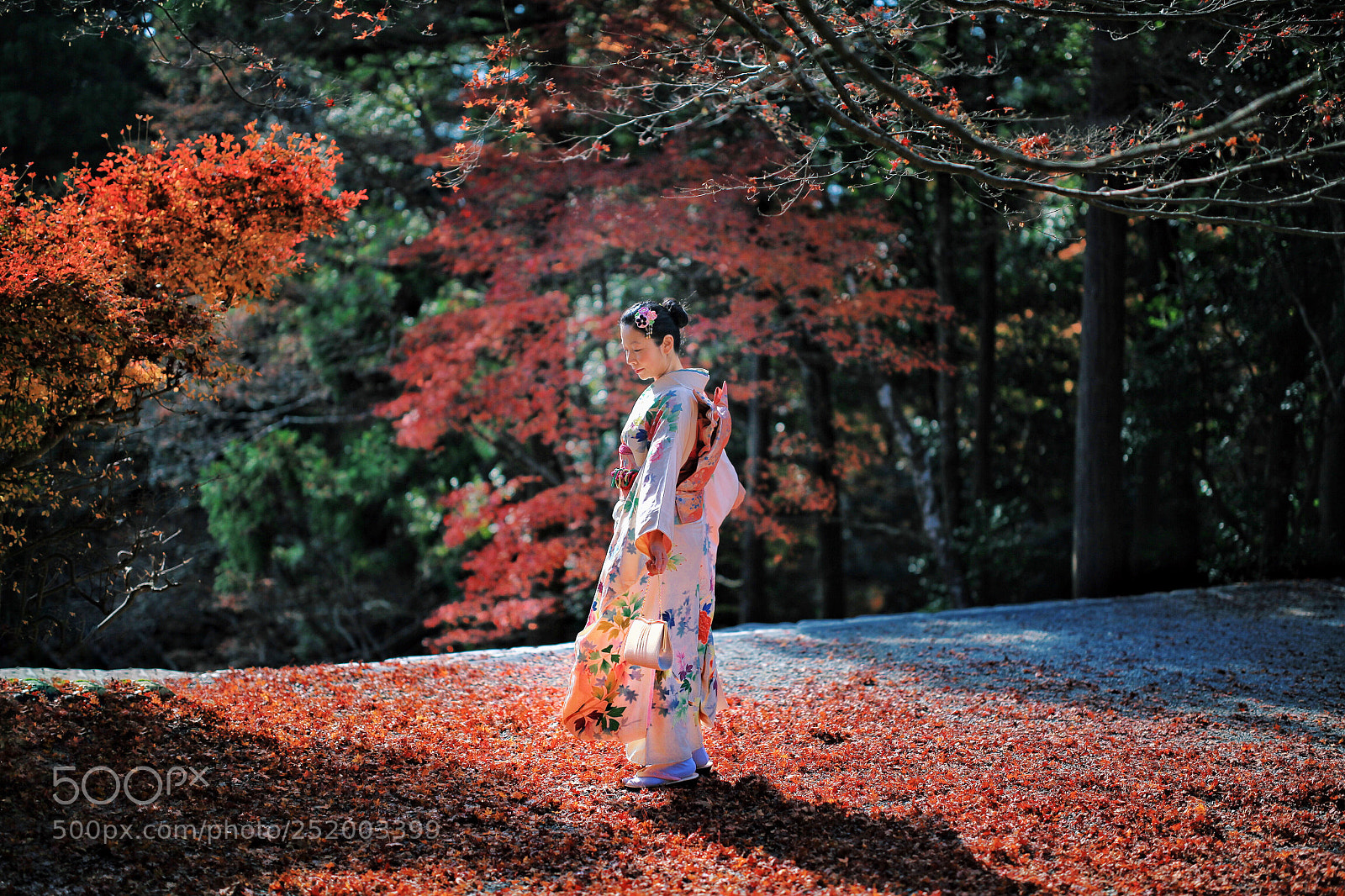 Canon EOS 5D Mark II sample photo. Untitled photography