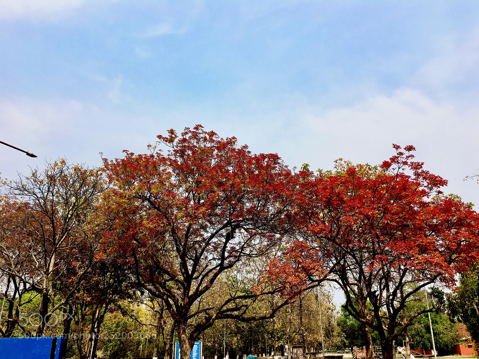 Apple iPhone 6s Plus sample photo. Renewal photography