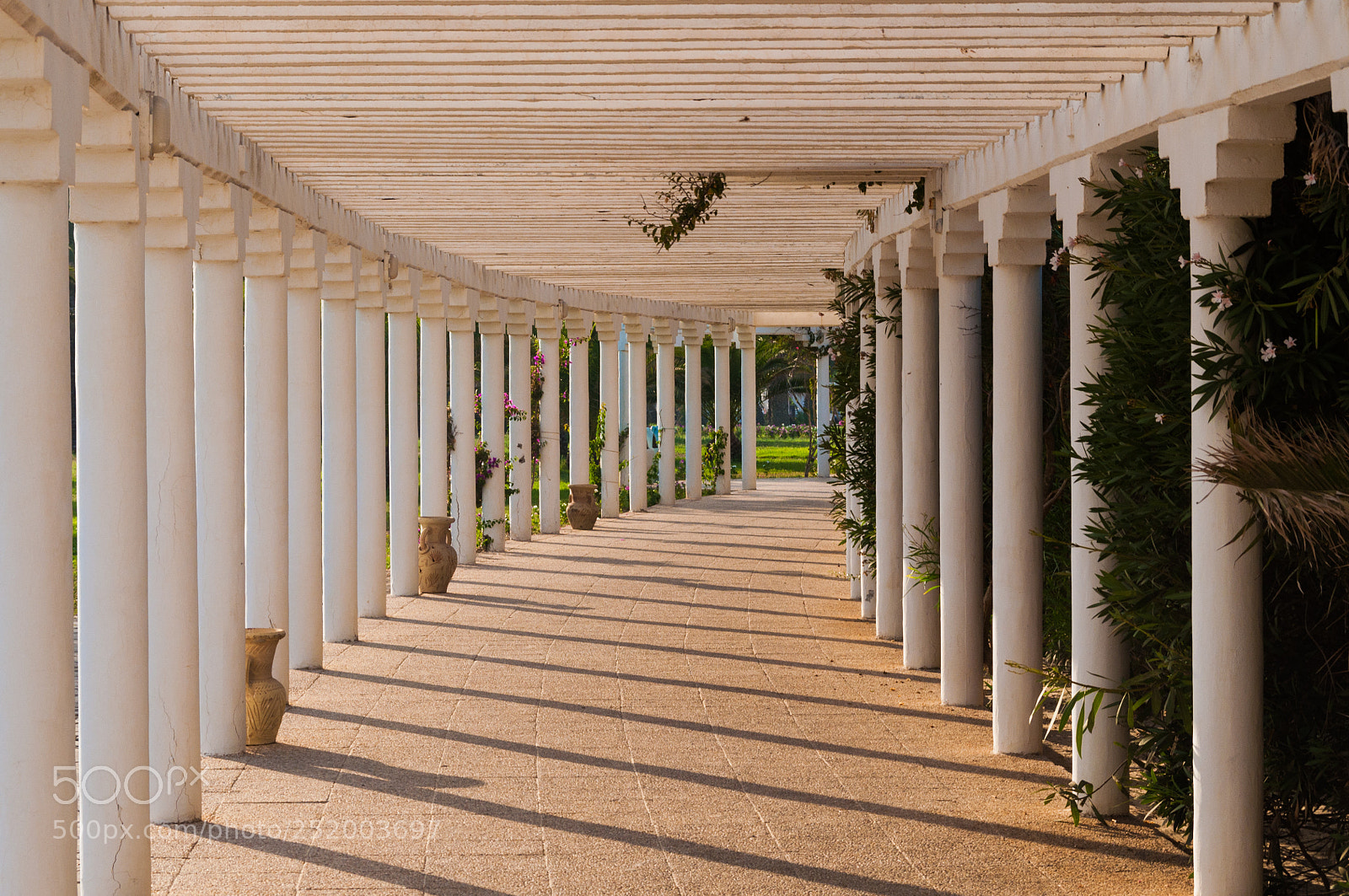 Nikon D5000 sample photo. Tunisia photography
