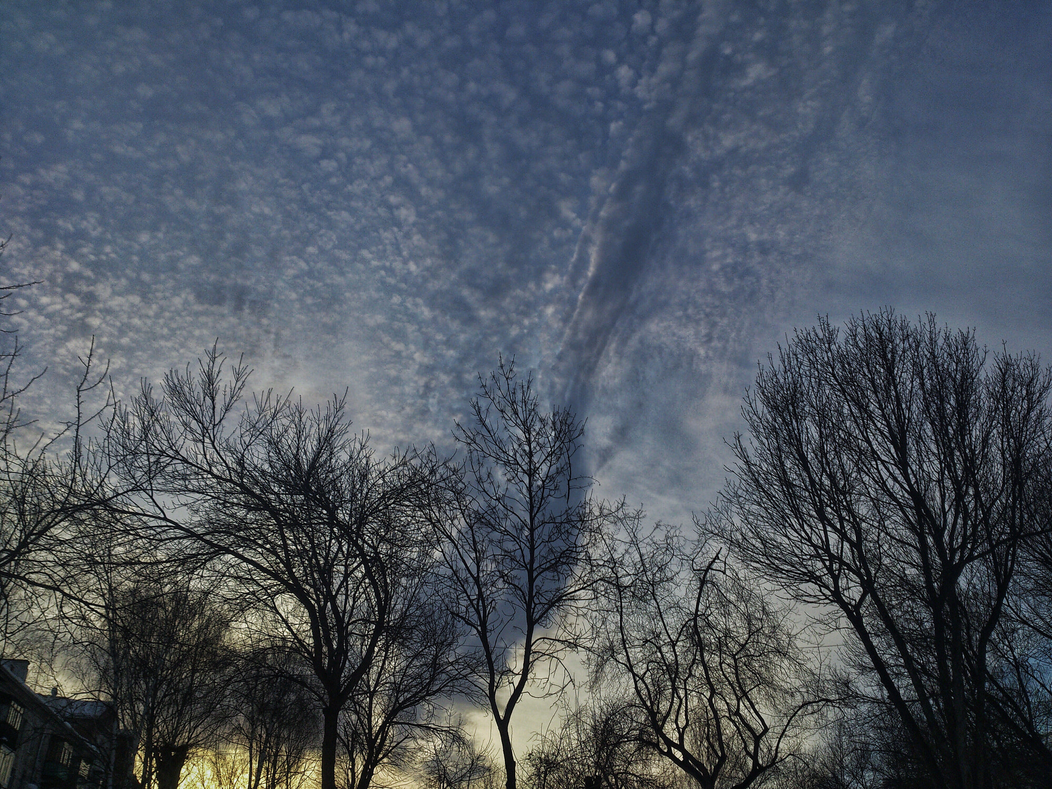 Sony Ericsson Xperia S sample photo. Trees photography