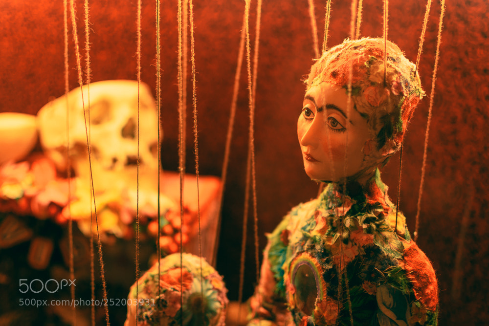 Nikon D5600 sample photo. Wonder doll photography