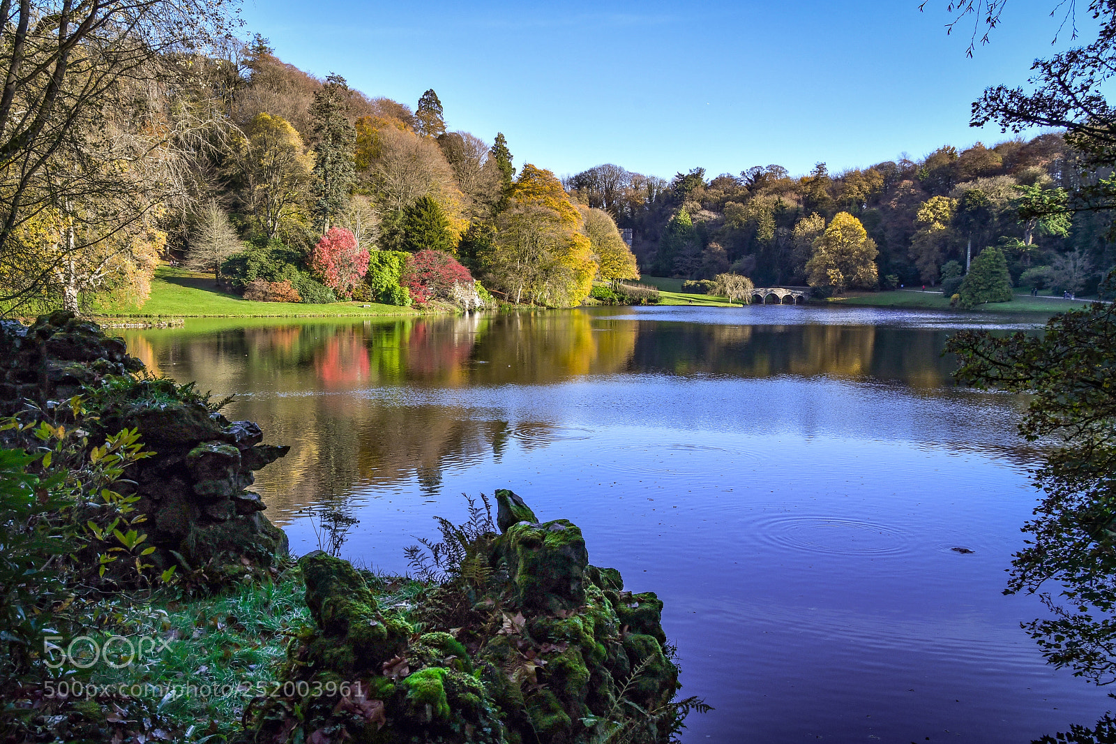 Nikon D500 sample photo. Stourhead autumn photography