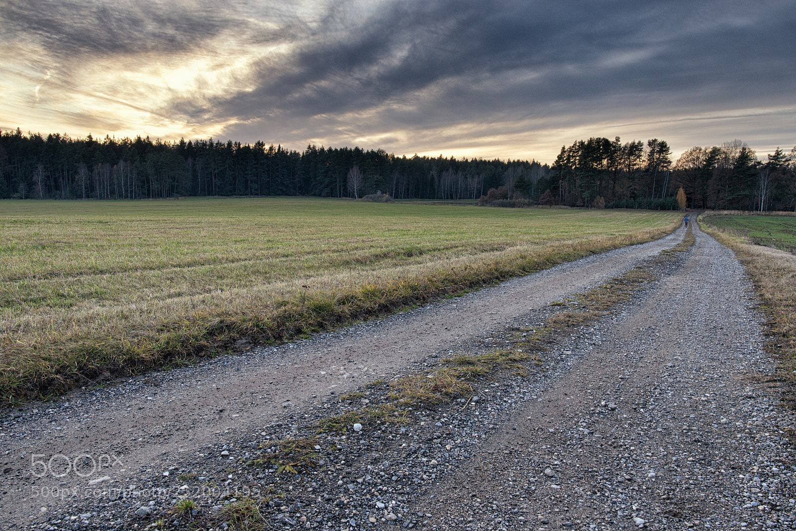 Nikon D3200 sample photo. Pathway photography