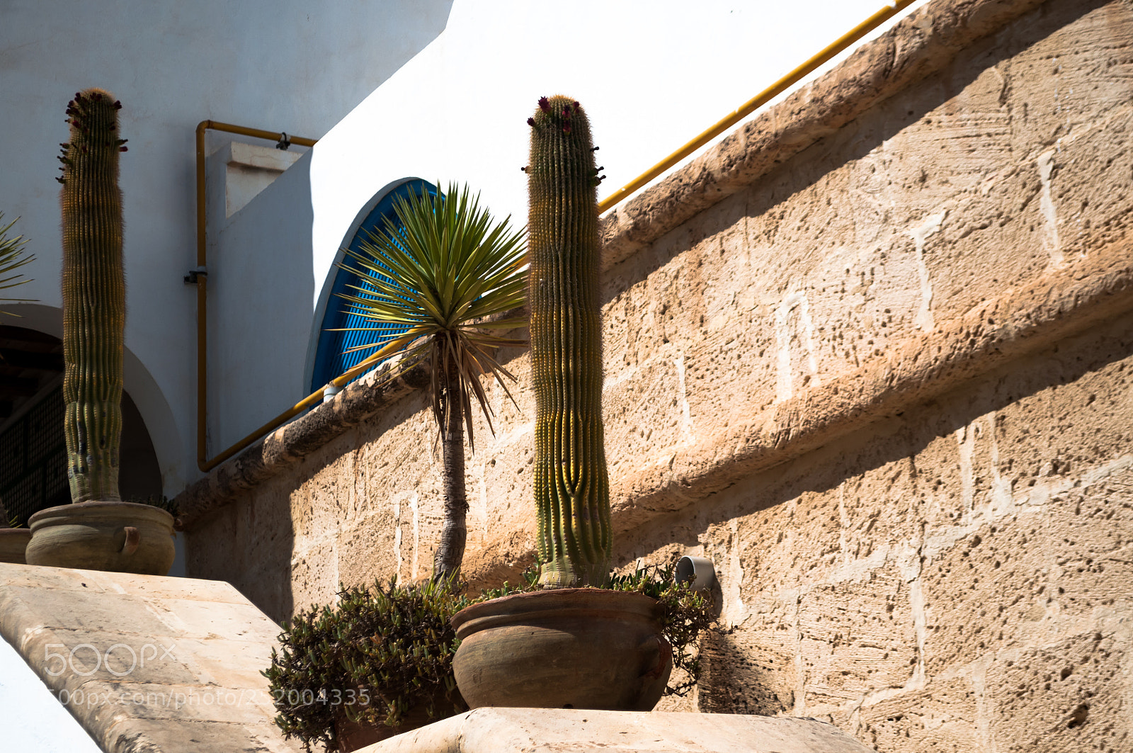 Nikon D5000 sample photo. Tunisia photography