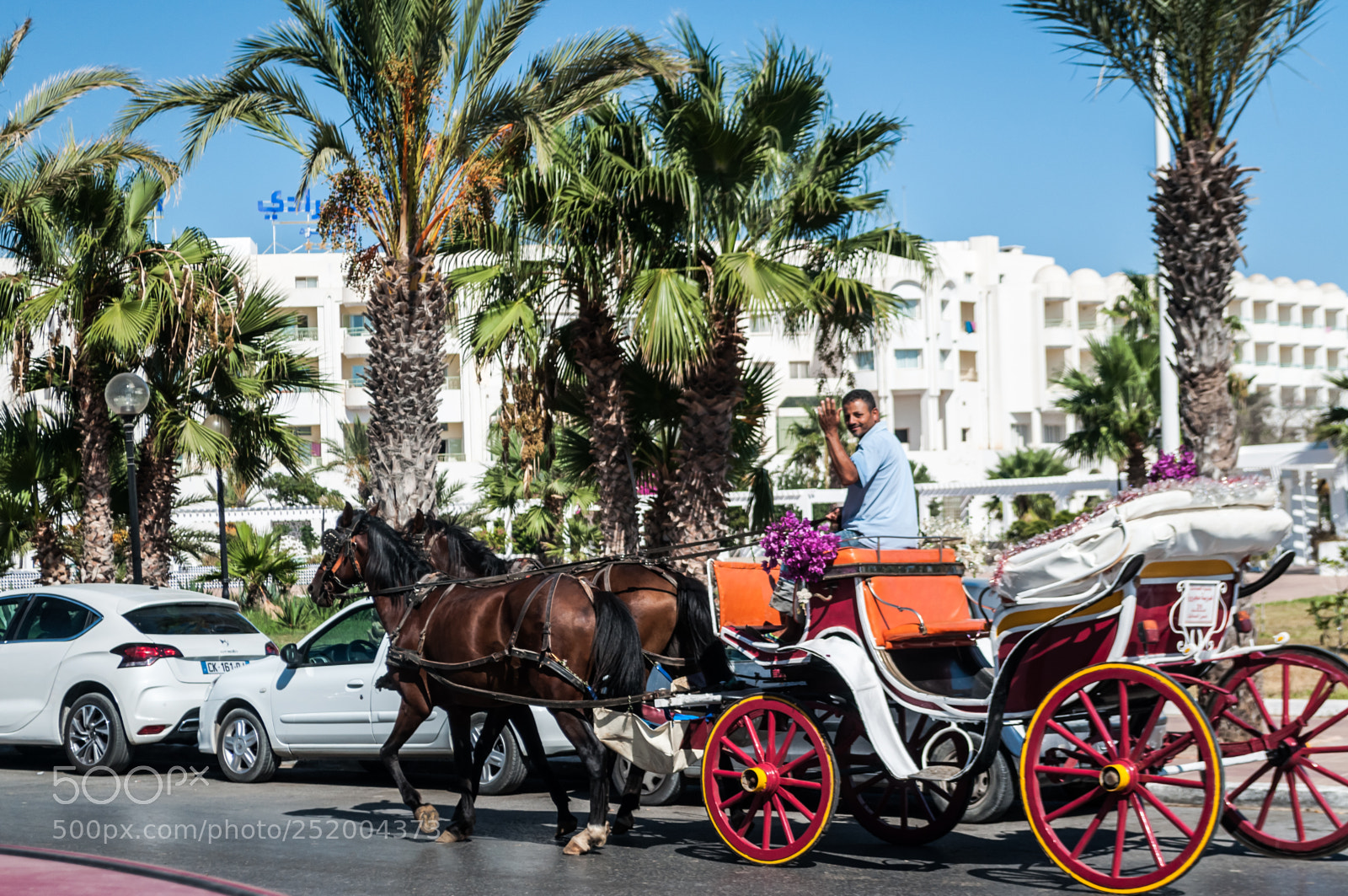 Nikon D5000 sample photo. Tunisia photography
