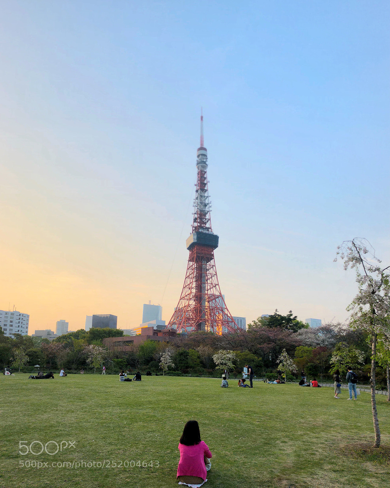 Apple iPhone X sample photo. Series of iphonex captures photography