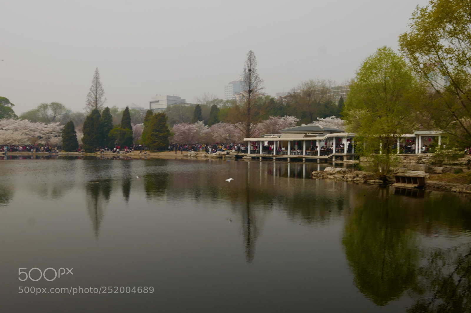 Leica SL (Typ 601) sample photo. Untitled photography
