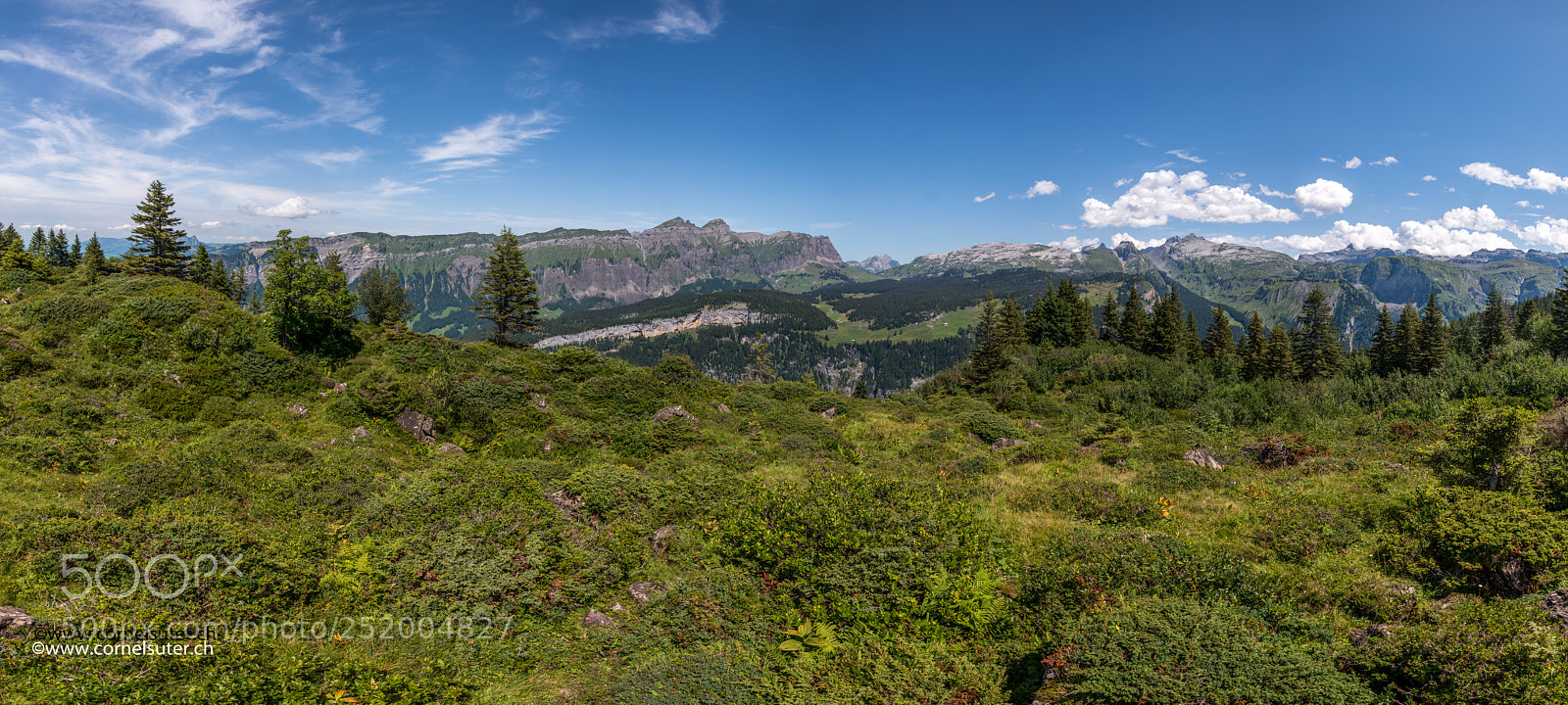 Nikon D800 sample photo. Alp wasserberg 1 photography