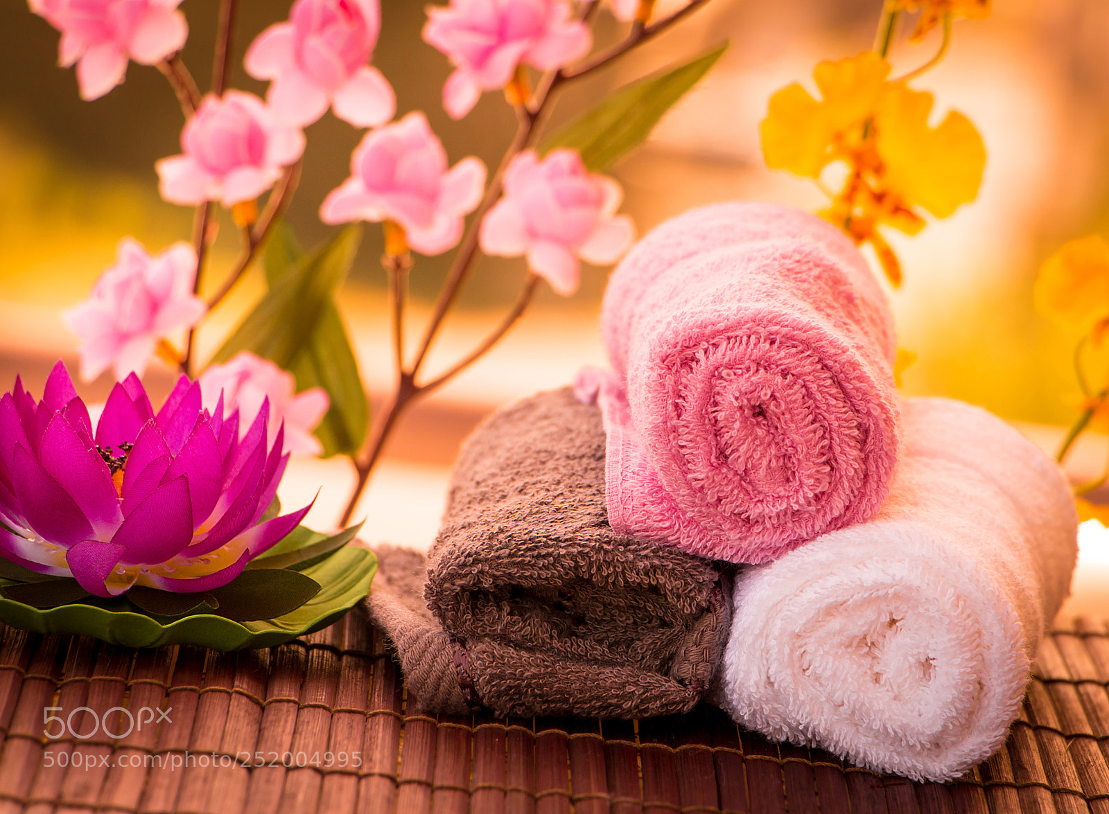 Canon EOS 70D sample photo. Spas setting concept shows photography