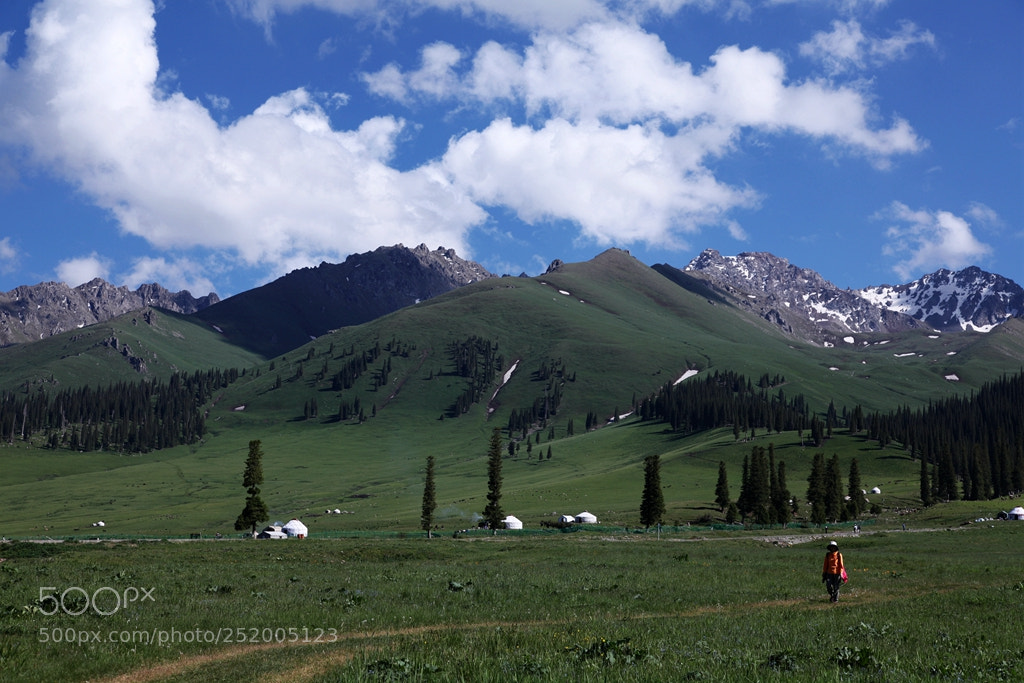 Canon EF 24-105mm F4L IS USM sample photo. Img photography