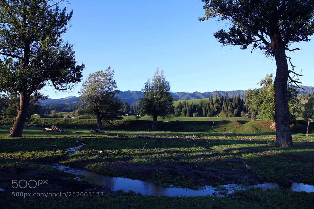 Canon EF 24-105mm F4L IS USM sample photo. Img photography