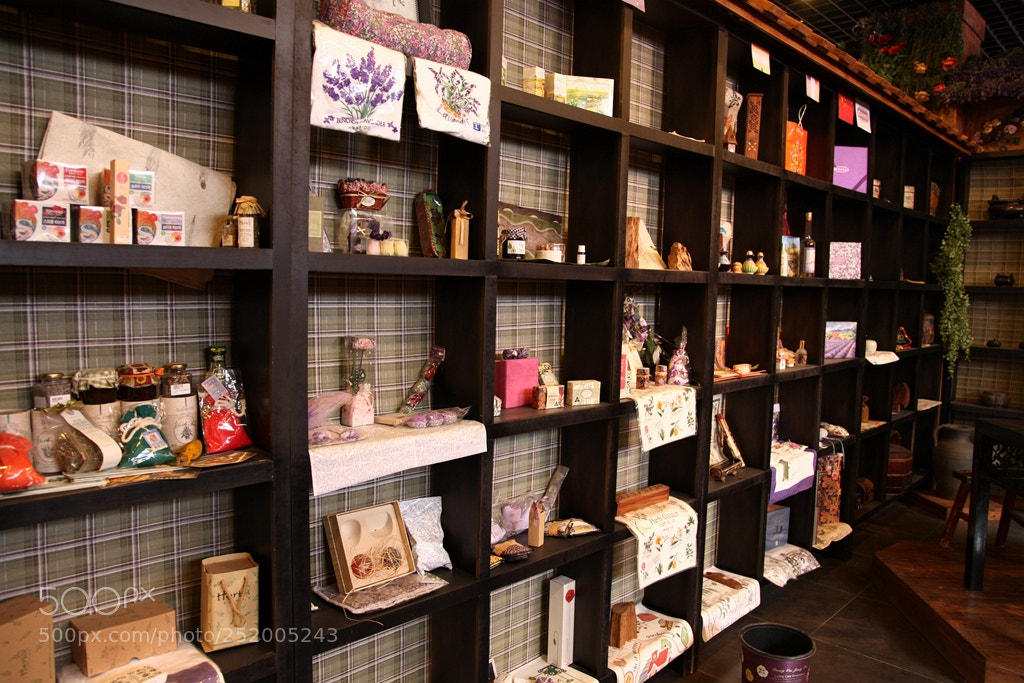Canon EF 24-105mm F4L IS USM sample photo. Img photography