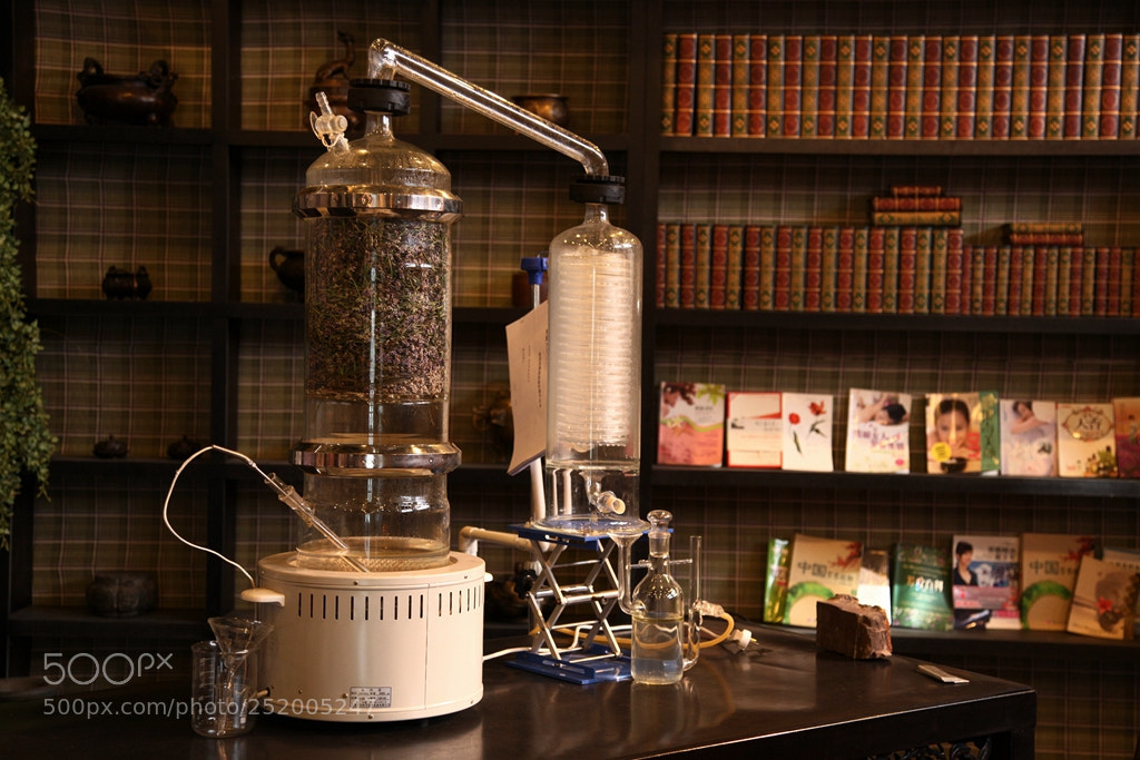 Canon EF 24-105mm F4L IS USM sample photo. Img photography