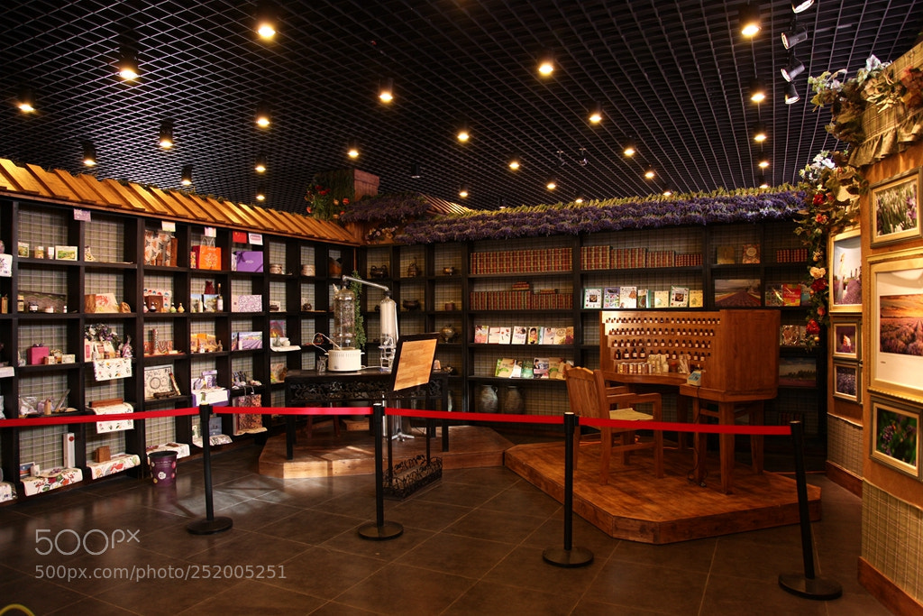 Canon EF 24-105mm F4L IS USM sample photo. Img photography