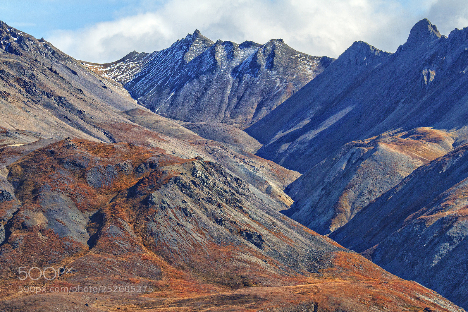 Canon EOS 7D sample photo. Autumn draw photography