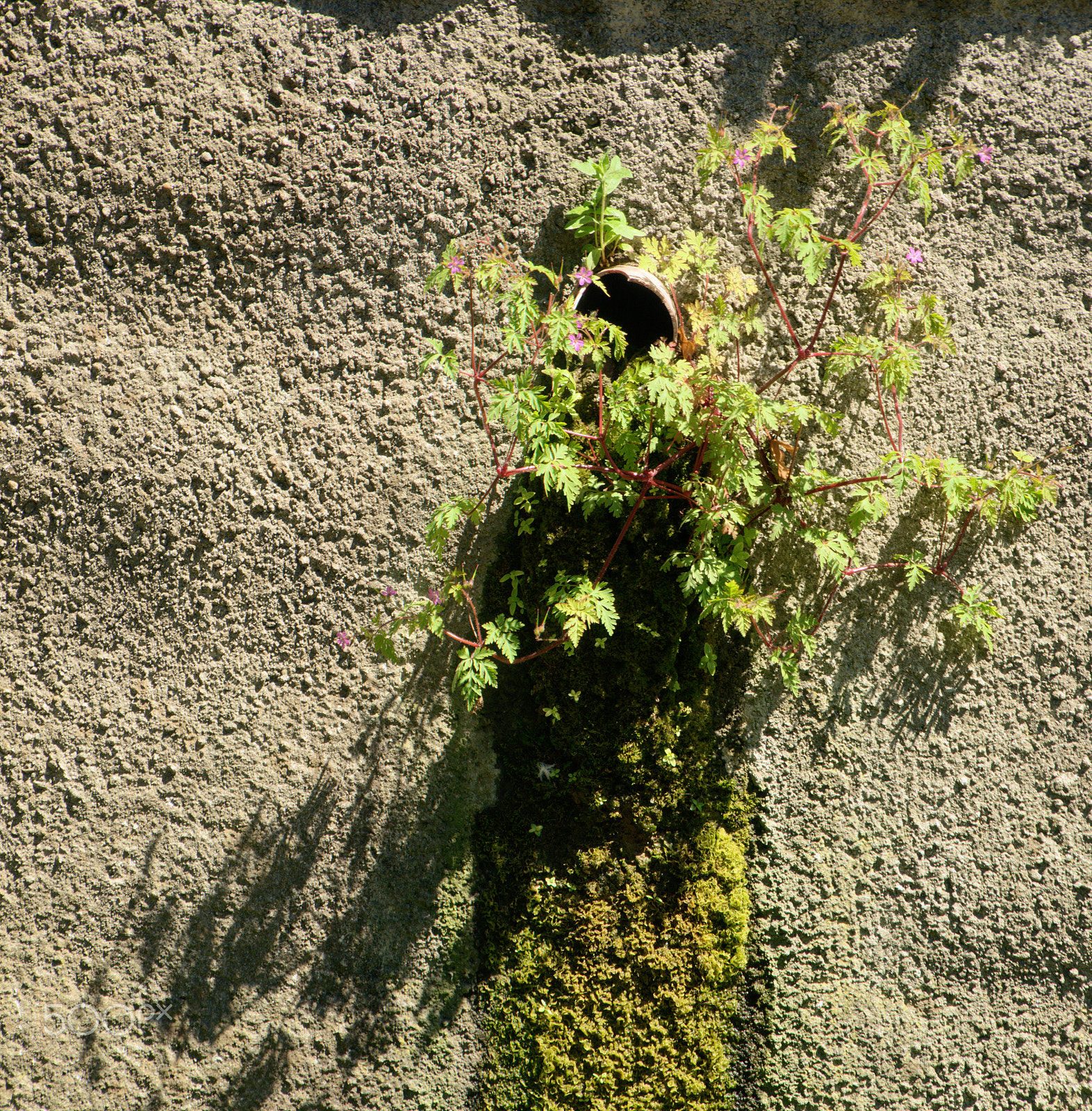 Nikon D300 sample photo. Walls of Überlingen photography