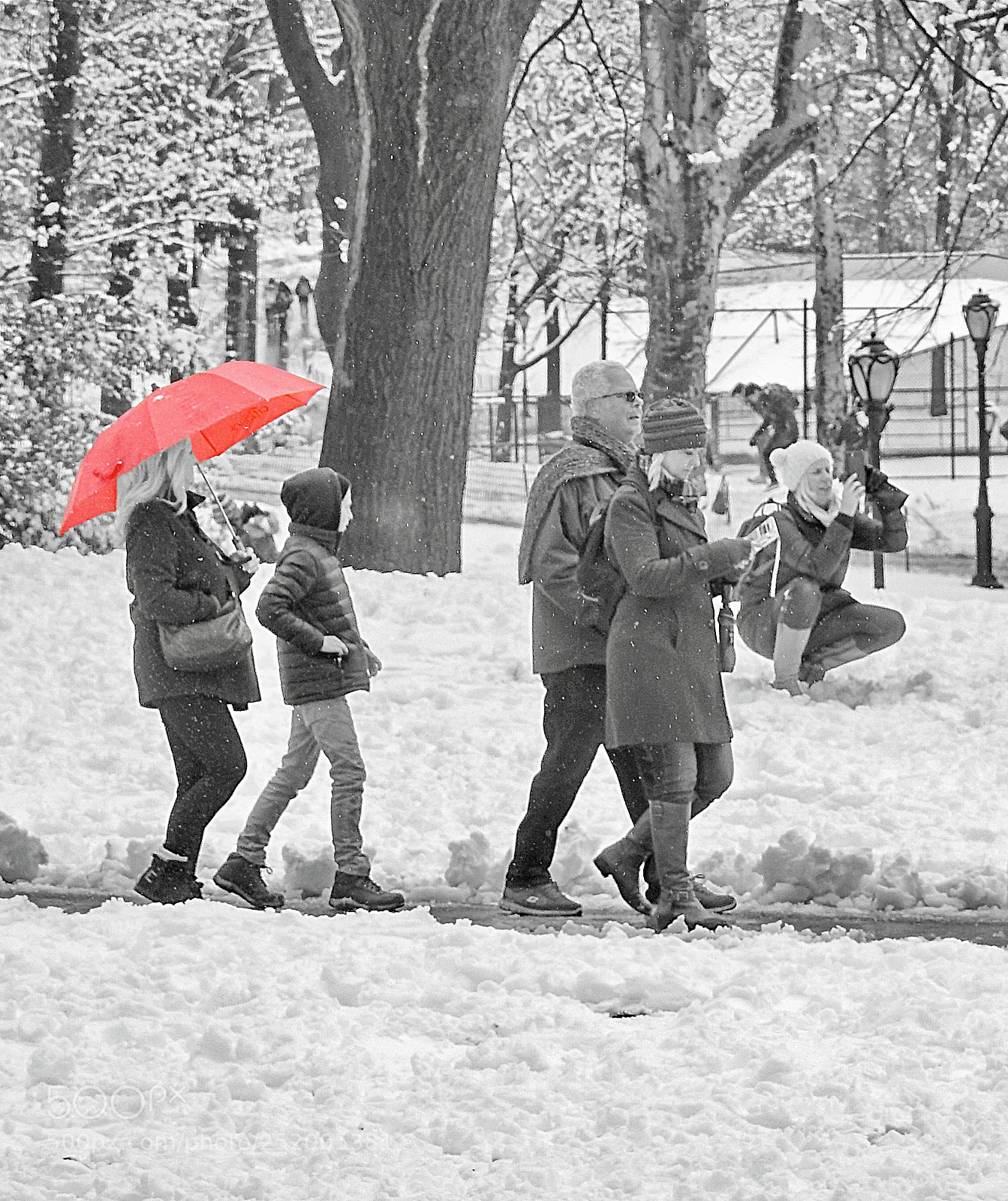 Nikon Coolpix P900 sample photo. Central park photography