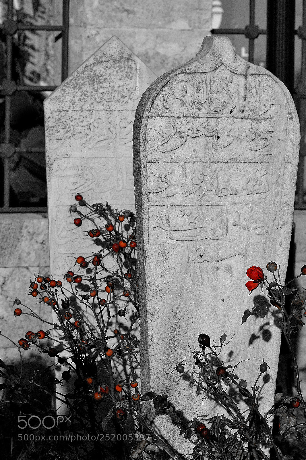Nikon D3100 sample photo. Ölüm var hacı! photography