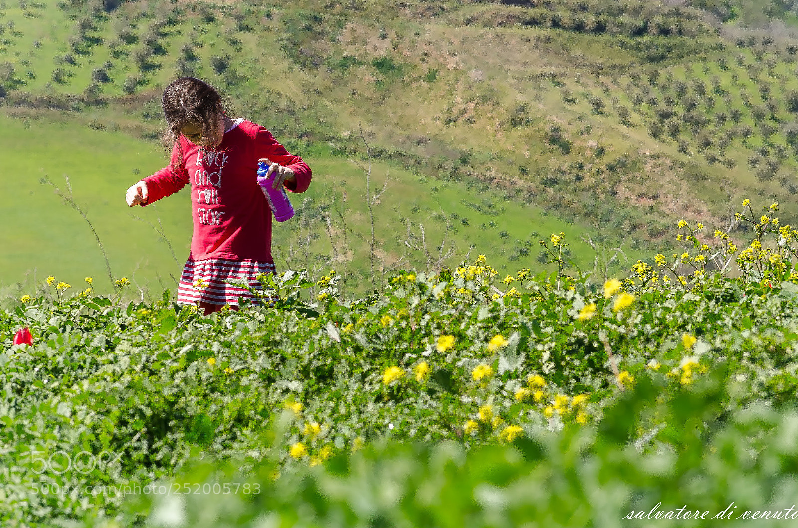 Nikon D7000 sample photo. Scatto rubato photography