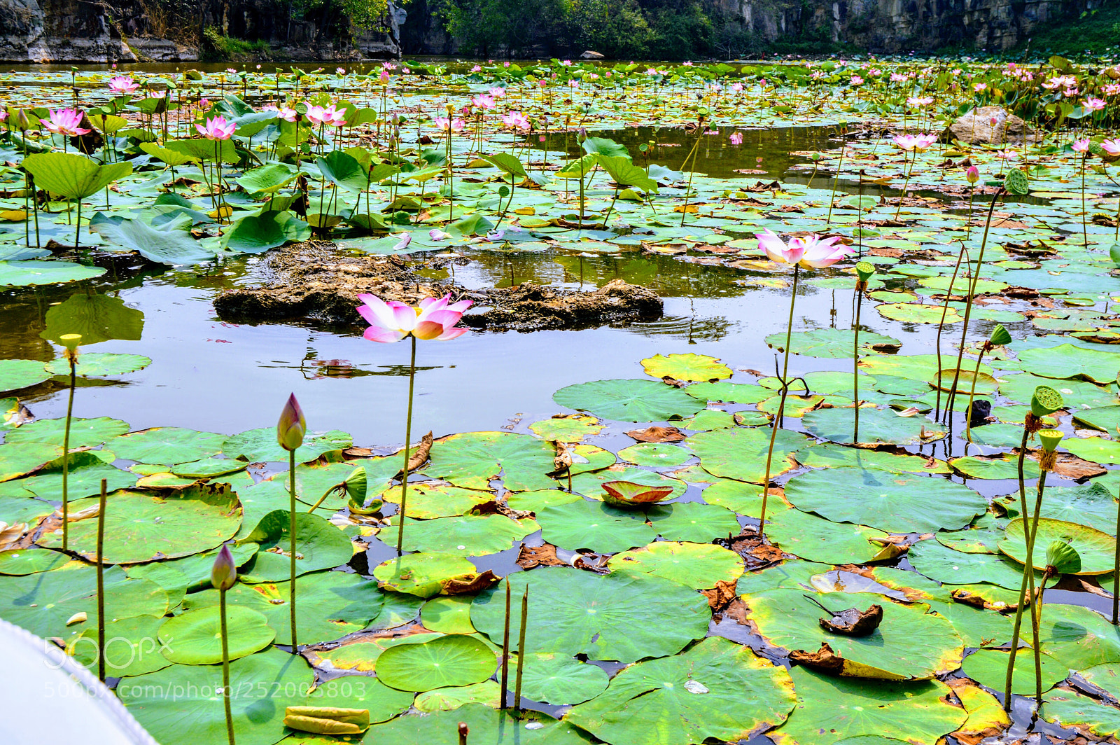 Nikon D3200 sample photo. Untitled photography